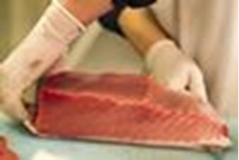 Sushi Grade Tuna: The Grading System